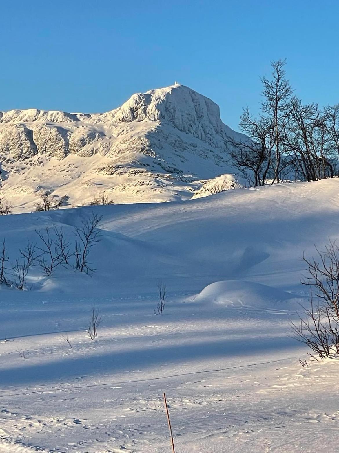 Beitotind Sentralt Pa Beitostolen Daire Dış mekan fotoğraf